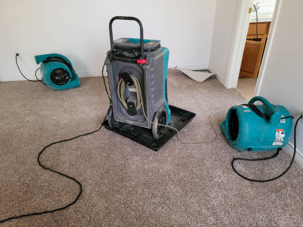 Best Sewage cleanup and water damage restoration  in Baldwinsville, NY