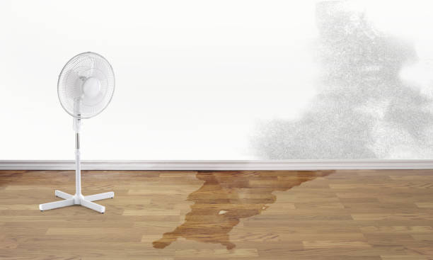 Best Ceiling water damage repair  in Baldwinsville, NY