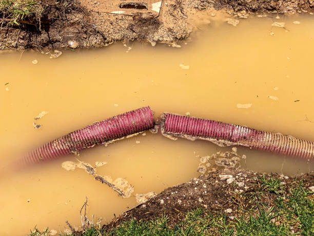 Best Flood restoration services  in Baldwinsville, NY
